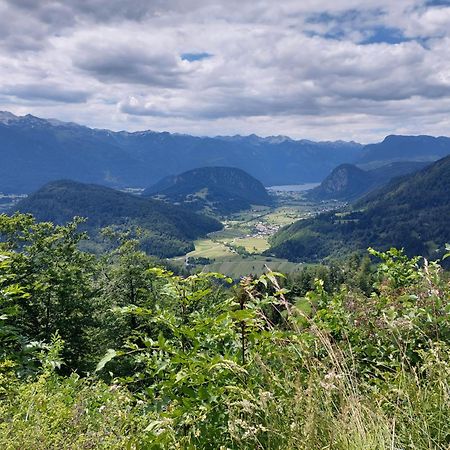 Apartmaji Vesna Bohinj Exteriör bild