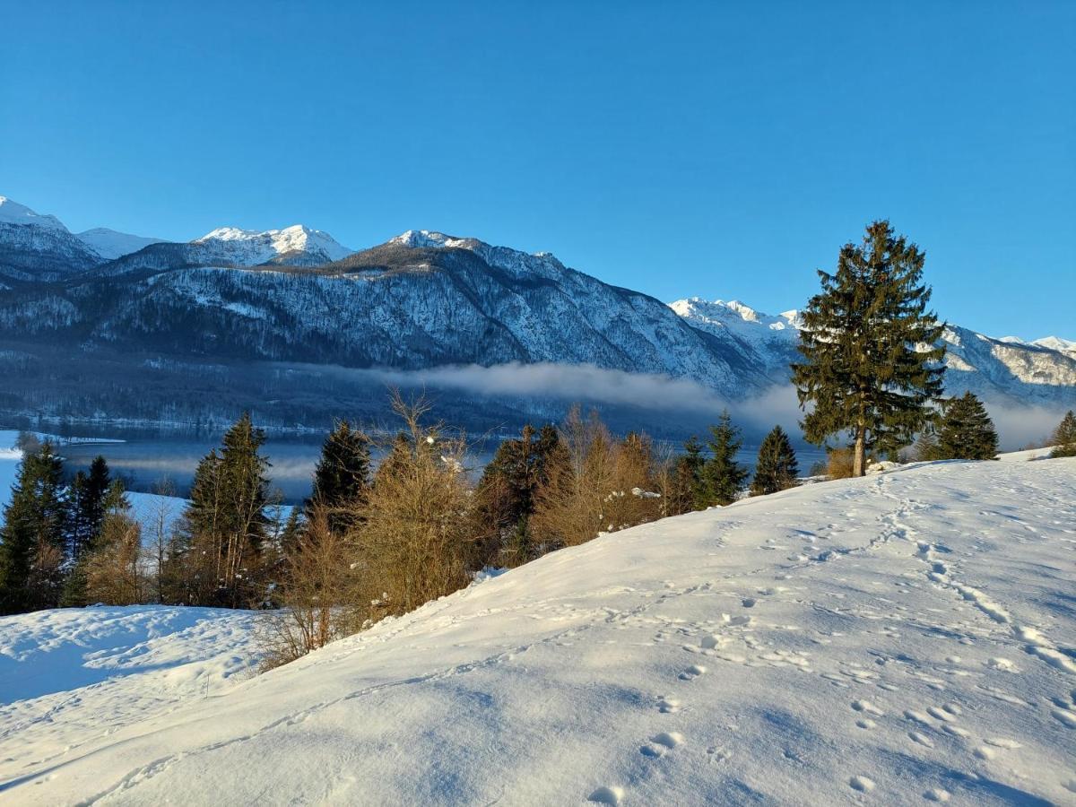 Apartmaji Vesna Lägenhet Bohinj Exteriör bild