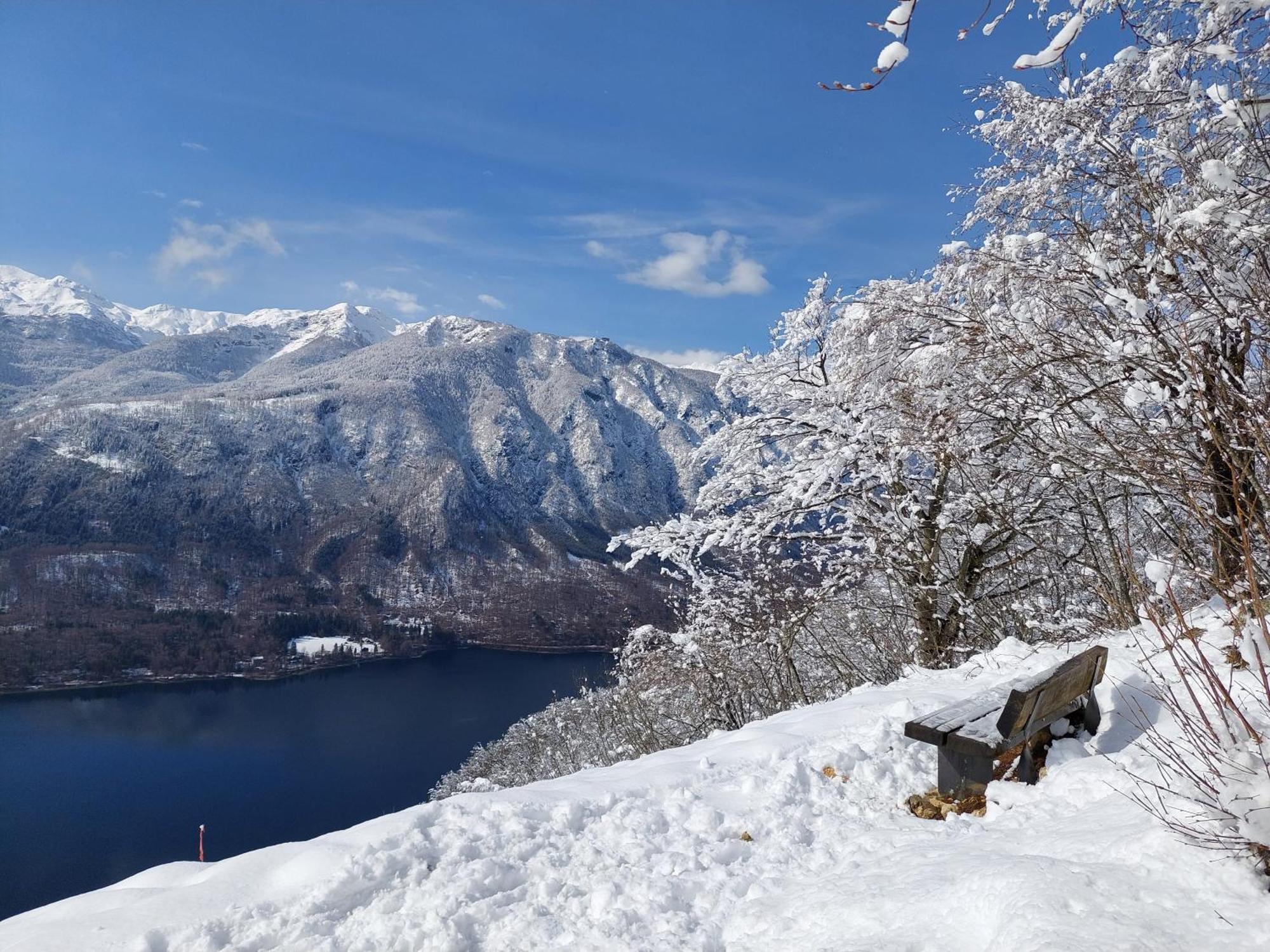 Apartmaji Vesna Lägenhet Bohinj Exteriör bild