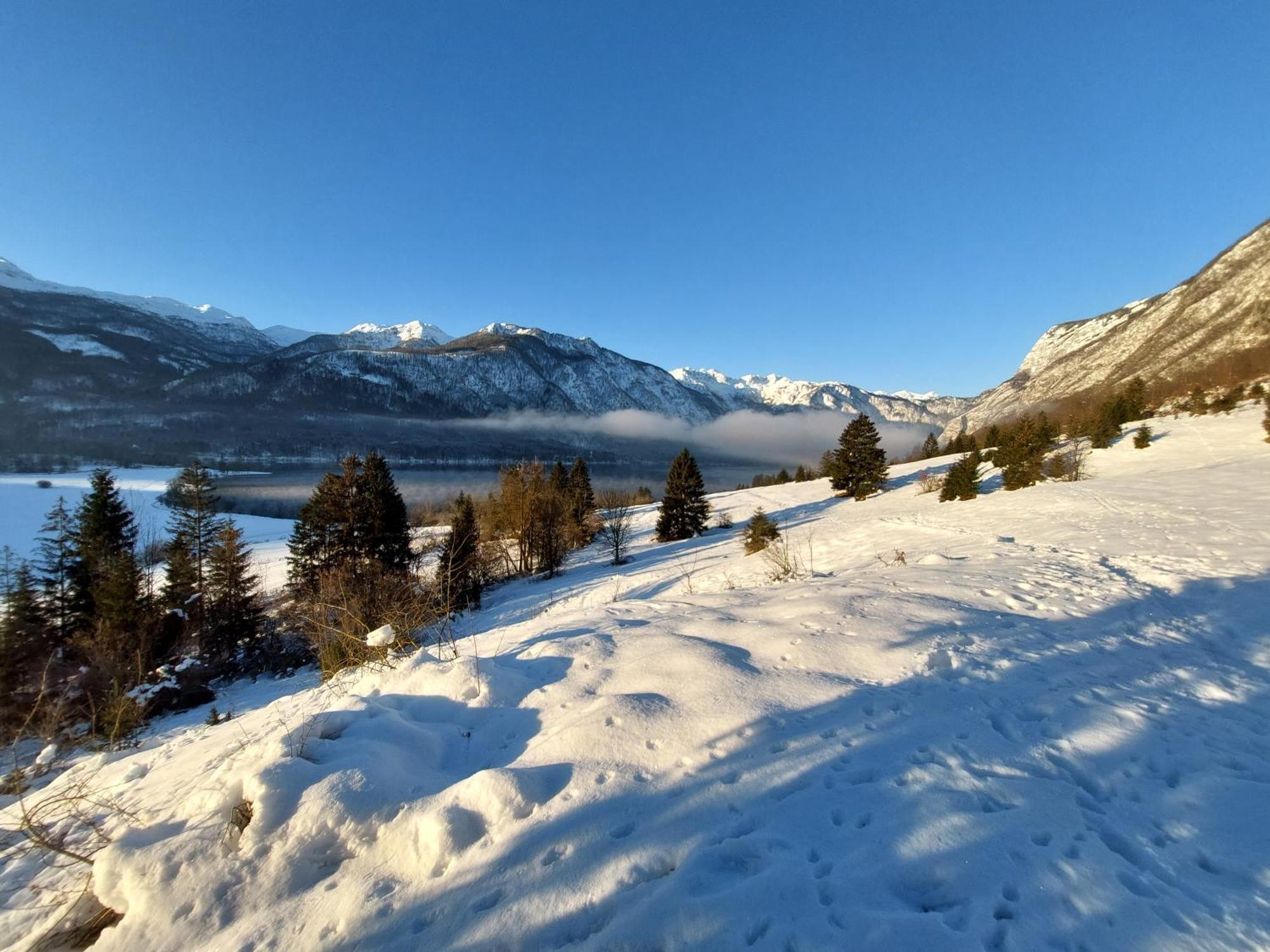 Apartmaji Vesna Lägenhet Bohinj Exteriör bild