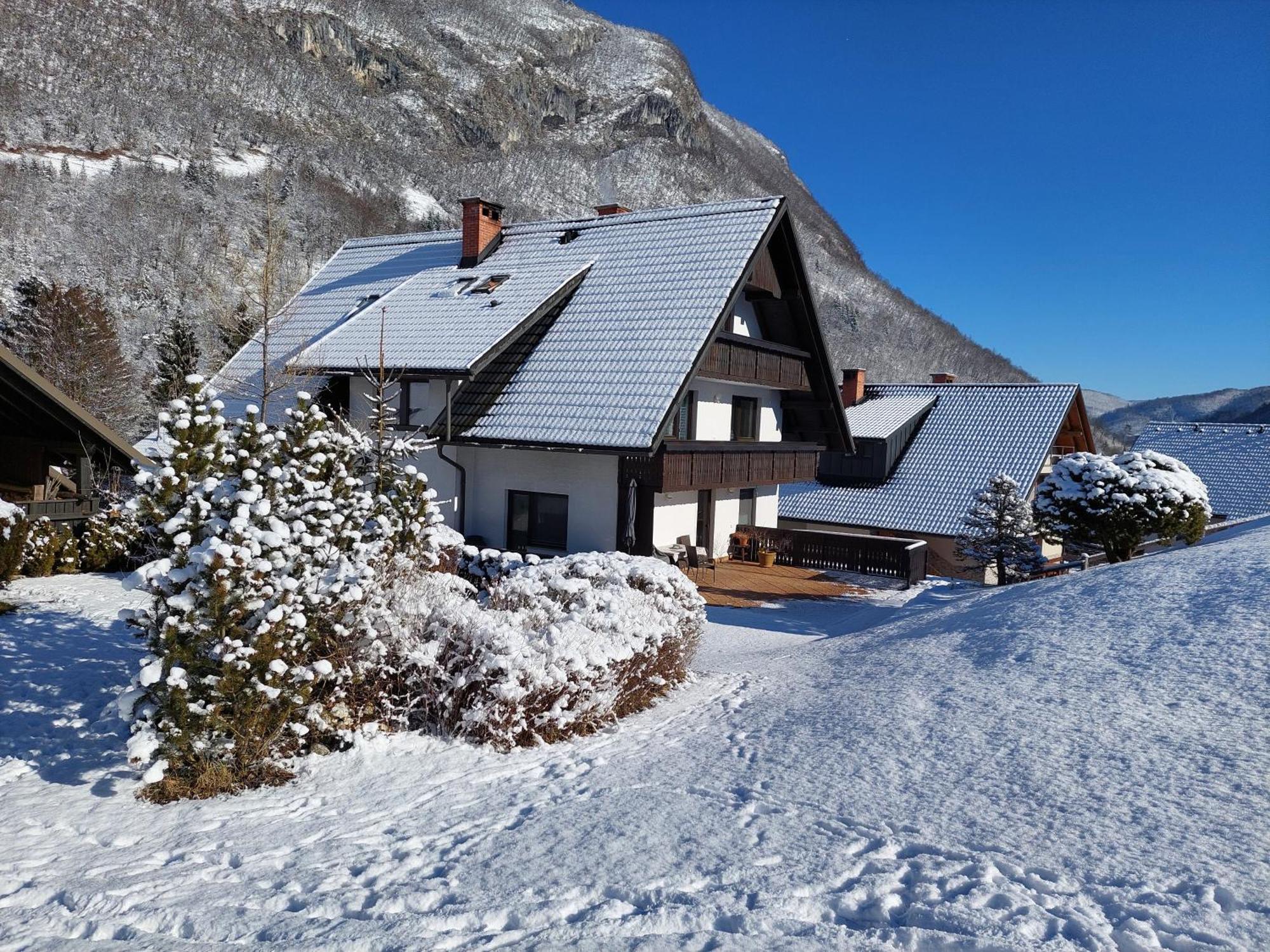 Apartmaji Vesna Lägenhet Bohinj Exteriör bild