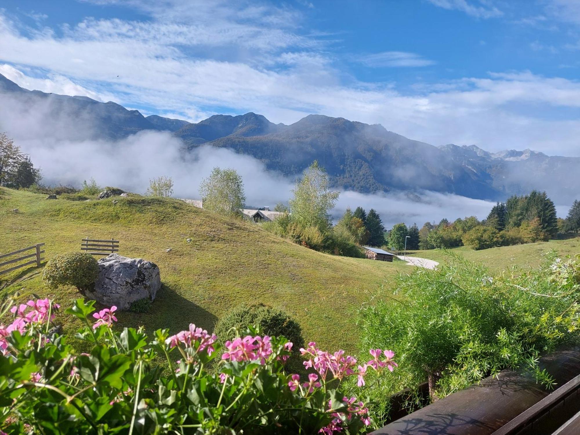 Apartmaji Vesna Lägenhet Bohinj Exteriör bild