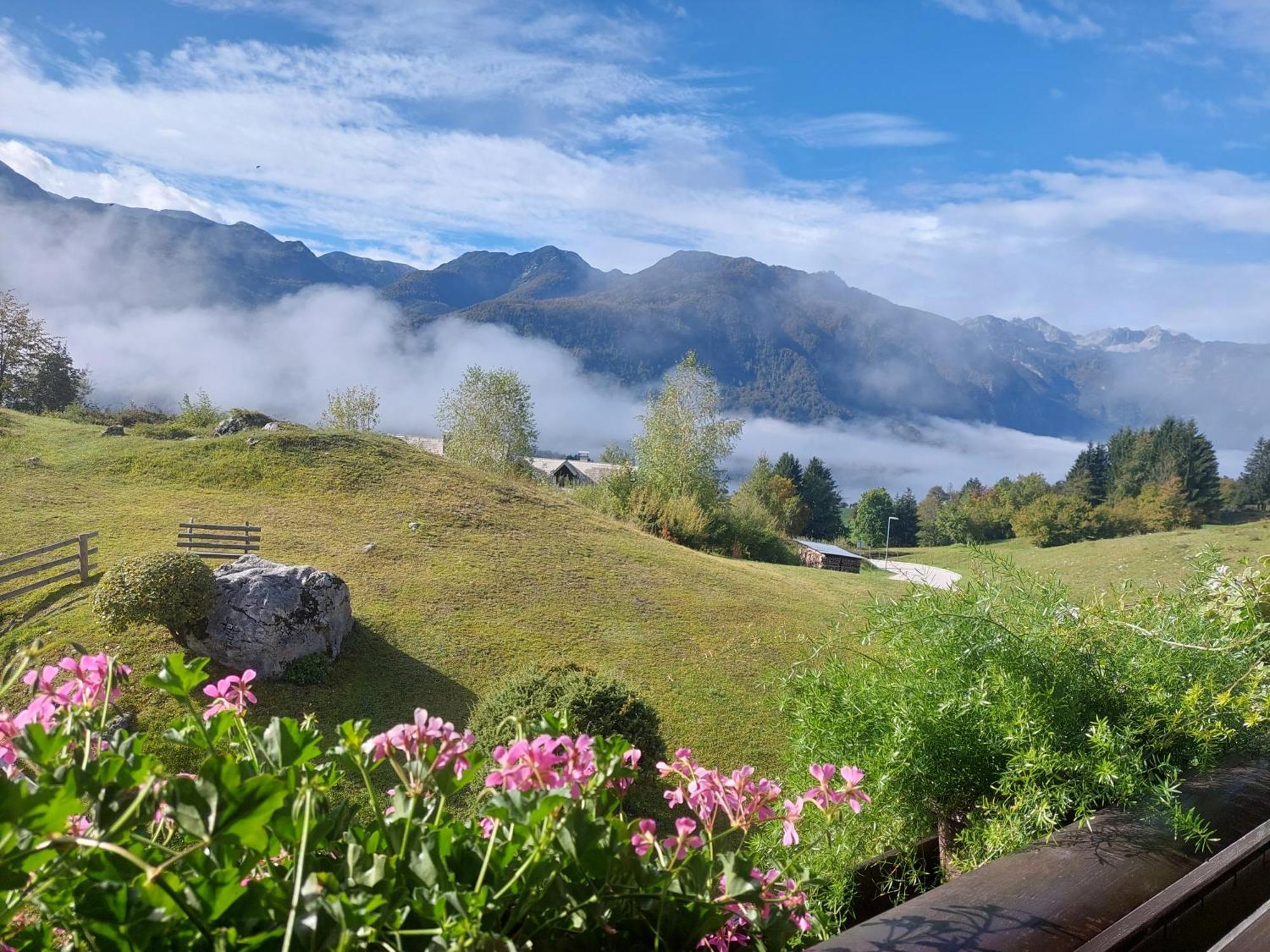 Apartmaji Vesna Bohinj Exteriör bild