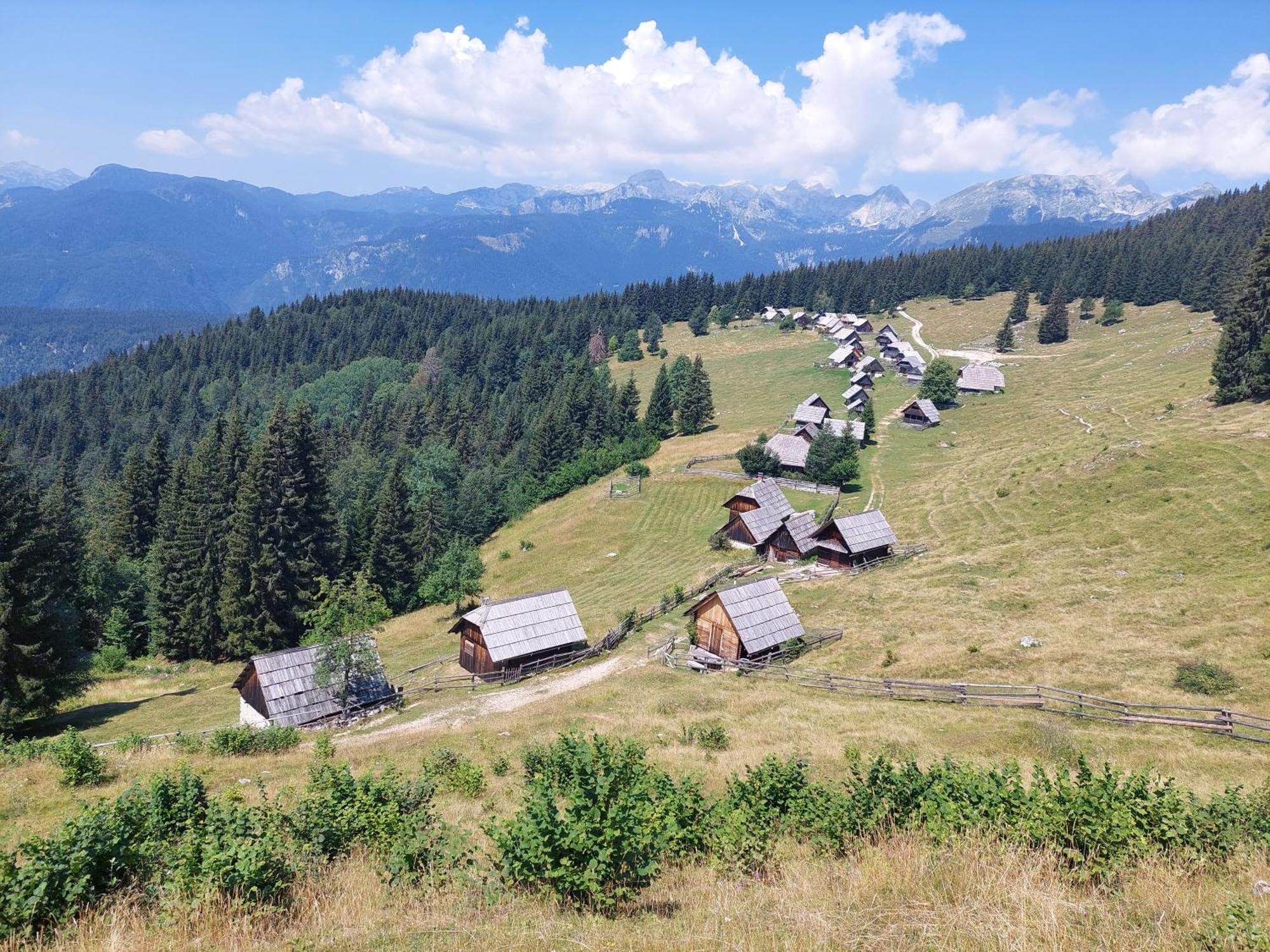 Apartmaji Vesna Lägenhet Bohinj Exteriör bild